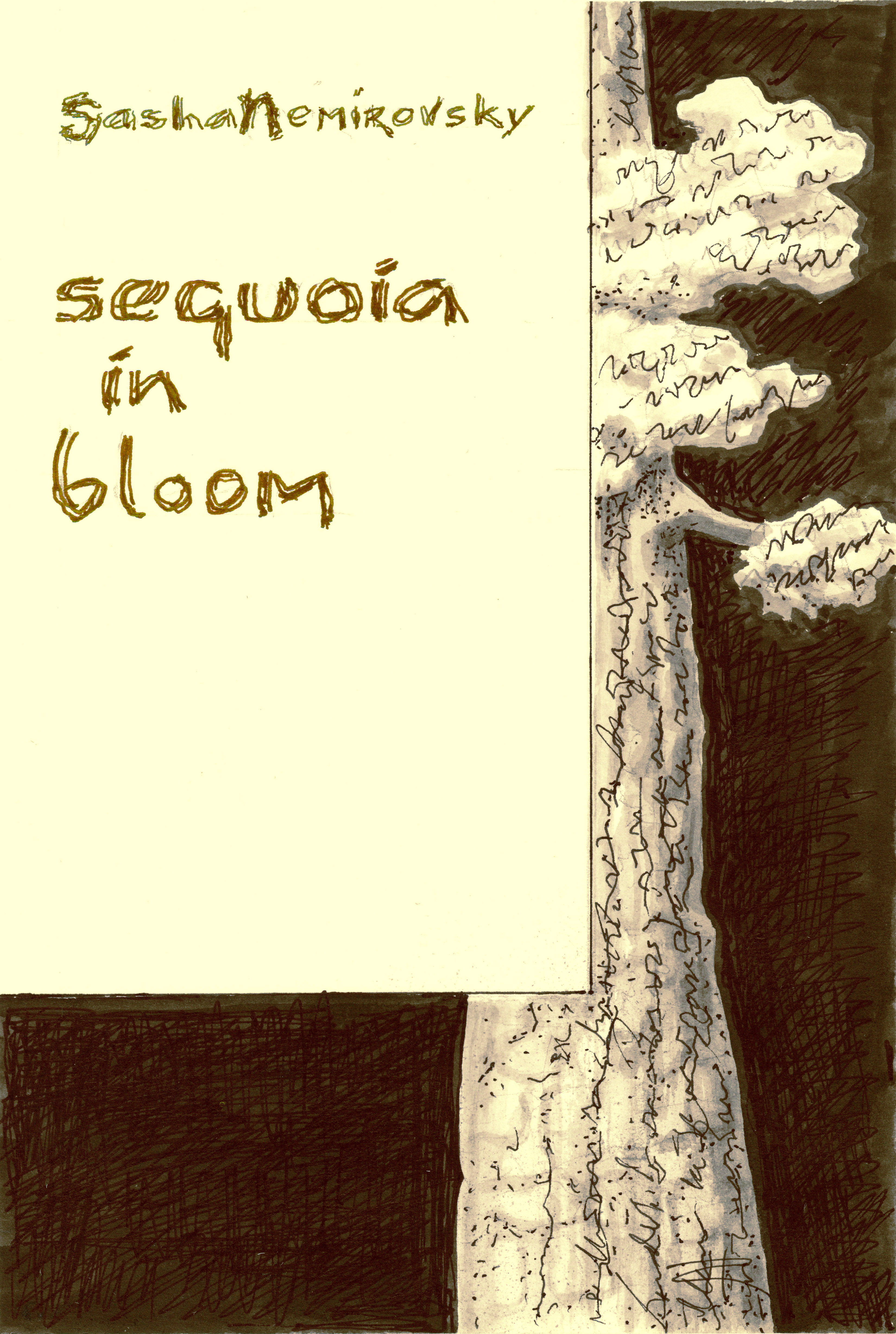 Sequoia in Bloom